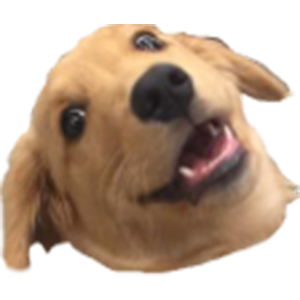 Wowee, the best boi